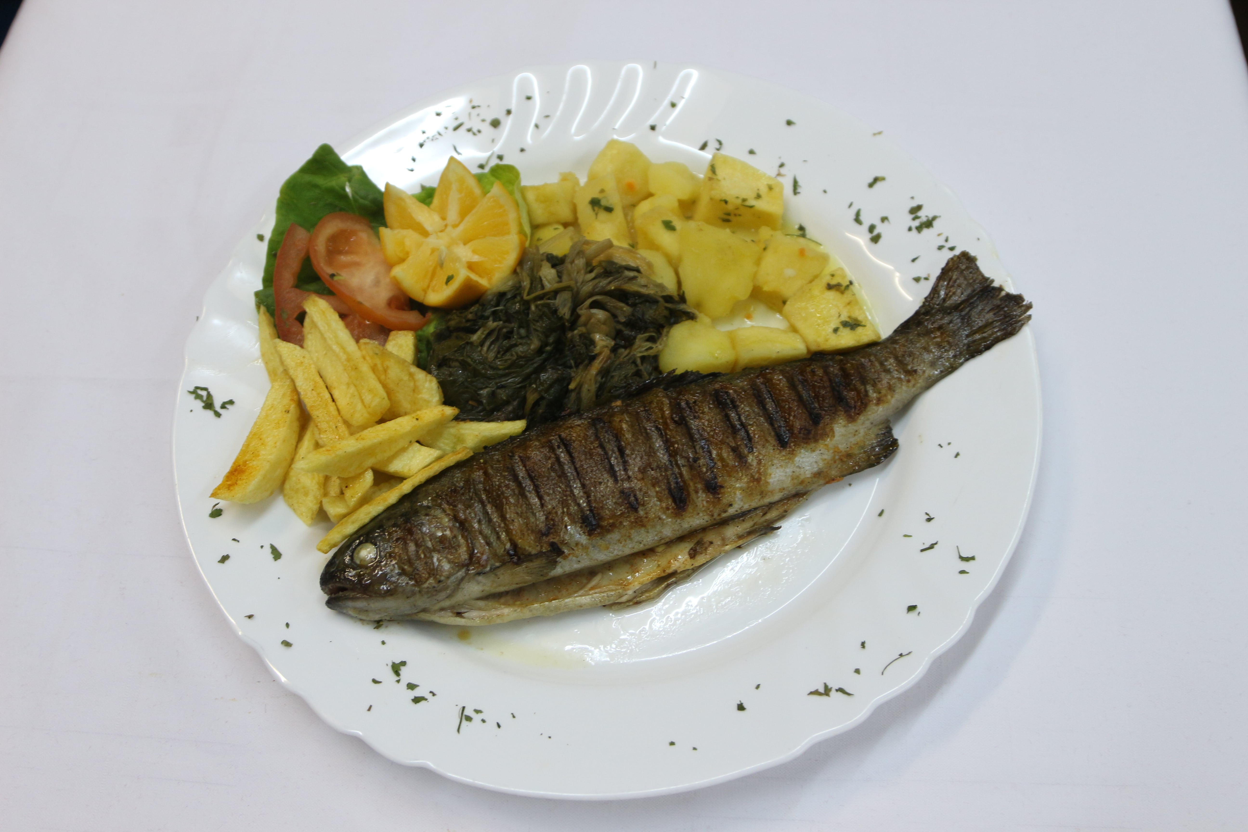 Fish